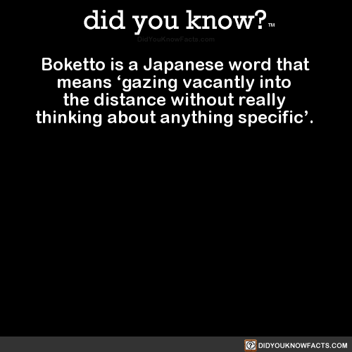 did-you-kno:  Boketto is a Japanese word that means ‘gazing vacantly into the distance