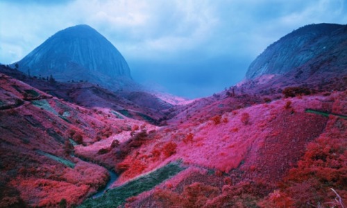 asylum-art:  Richard Mosse: The enclave  the enclave at venice art biennale 2013 In his current show at Jack Shainman, Richard Mosse reprises his heart-rending multimedia installation from the Irish Pavilion at the Venice Biennale last year. The piece,