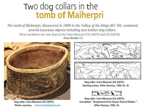 pet-interests:Some egyptian dog history - Deux colliers de chien dans la tombe de Maiherpri, Pharaon