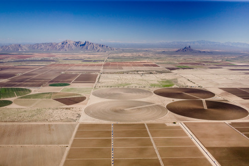 alex-maclean: Large Desert Pivot IrrigatorsEloy, AZ 2004© Alex S. MacLean / Landslides Aerial Photog