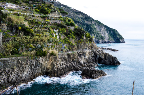 Cinque Terre, Italy.