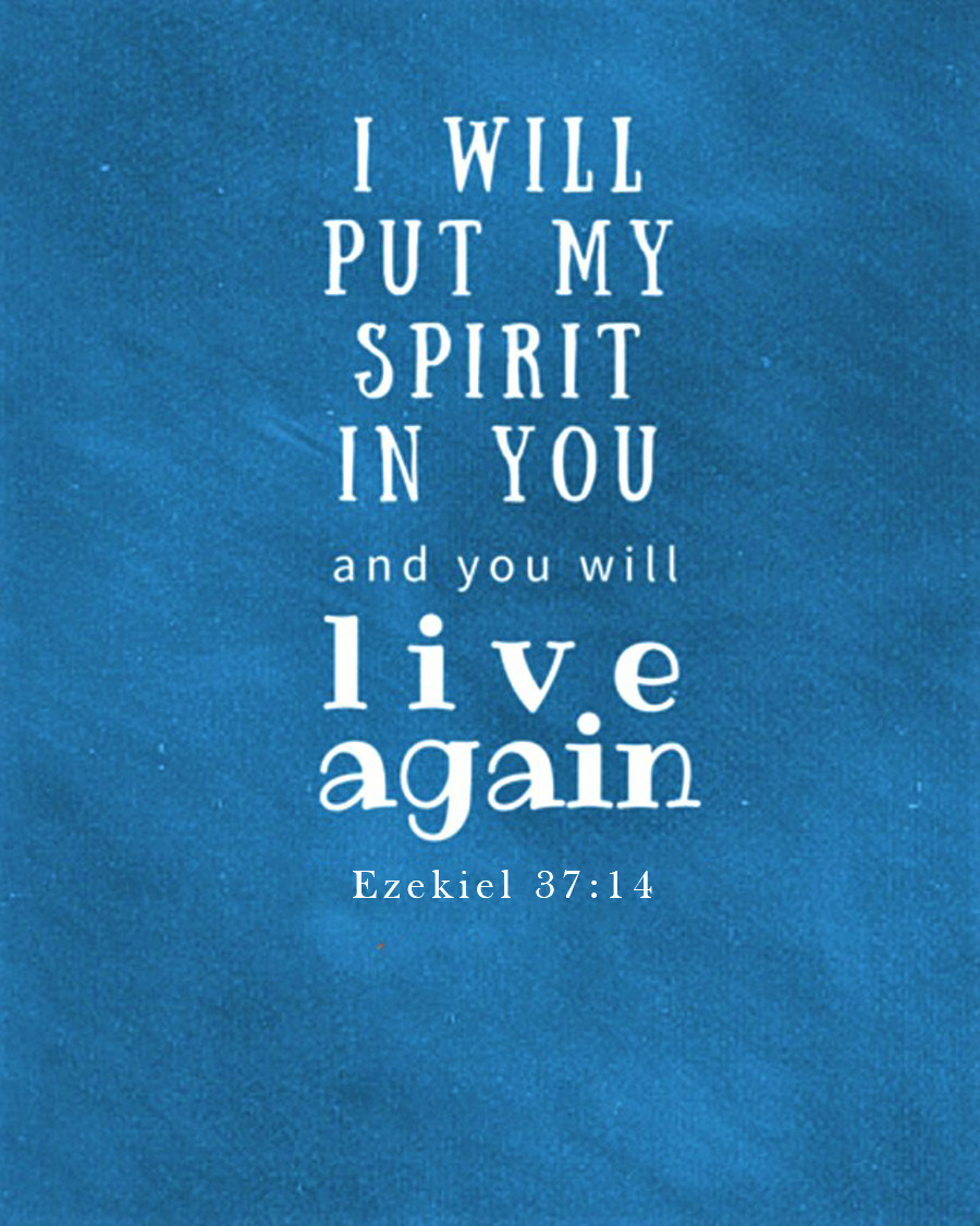 Ezekiel 37 nlt