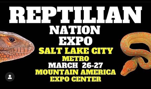 I’m so excited to be at this @reptilian_nation_expo this weekend March 26-27 @mtamericaexpoc e