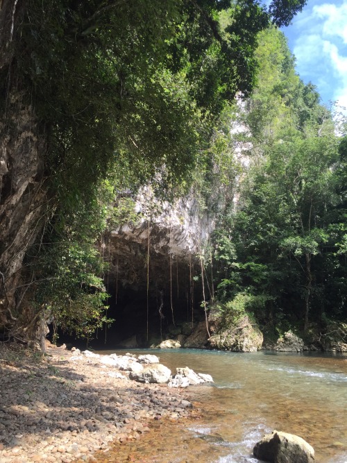 joolyin:  In the Belize jungle