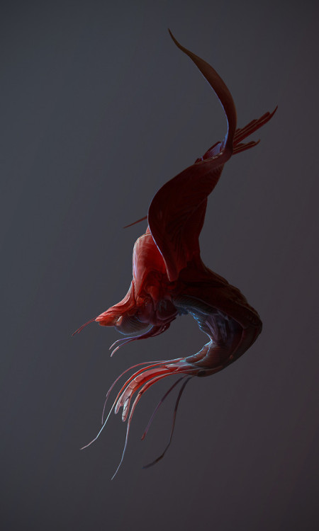 ravenkult: Rhubarb Shrimp! by Tyler Smith www.artstation.com/artwork/lPPwe