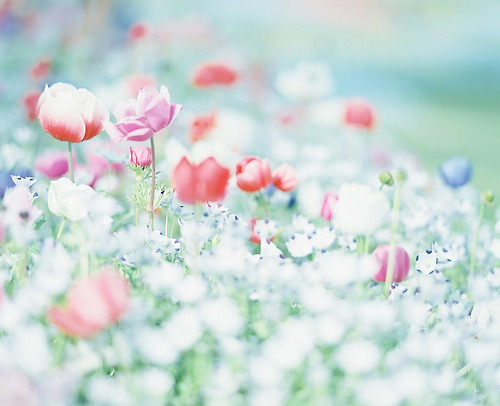 floralls:  by une** 