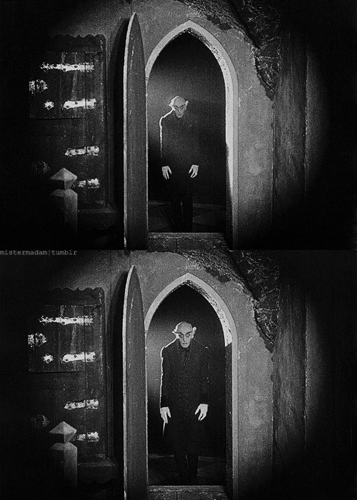 mistermadam:  Nosferatu - Eine Symphonie des Grauens (UFA-1922) 