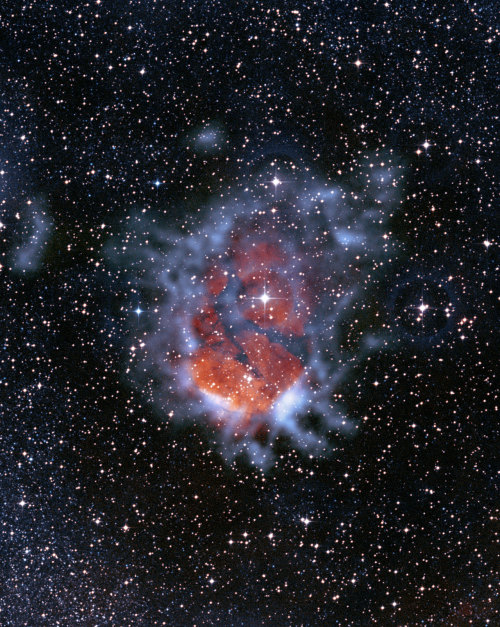 astronomicalwonders: A Stellar Nursery &ldquo;Colour composite image of RCW120. It reveals how a