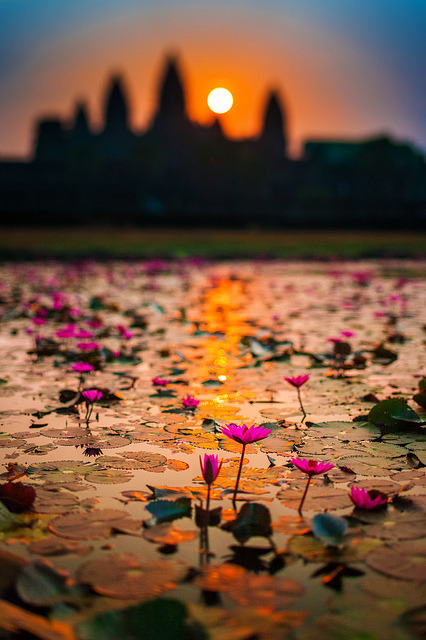 thingssheloves:  Angkor Wat by klOrklOr on Flickr. 