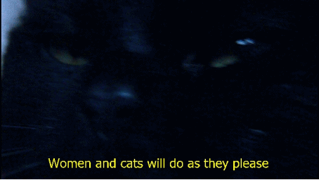 floozys:  “hairless cats are disgusting!” “hairy women are disgusting!"   