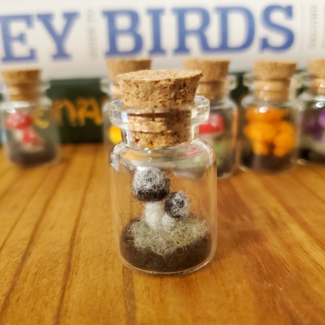 a photo of a jar filled with two black and white needle felted mushrooms.