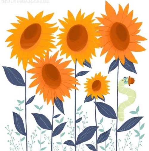 #sunflowers #drawings #colors #flowers #childrenillustrator #childrenillustrations #cute #instaart #