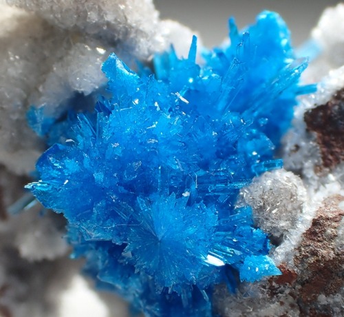 Pentagonite -Wagholi Quarry, Pune (Poonah), Maharashtra, India