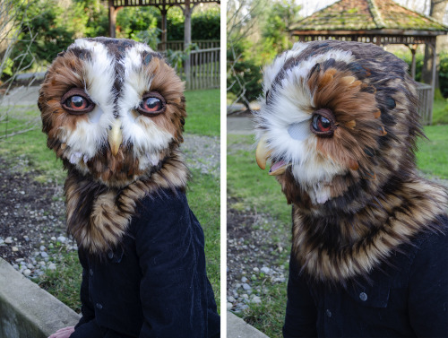  The tawny owl is up for auction! First completed last year, they’ve been updated with improve