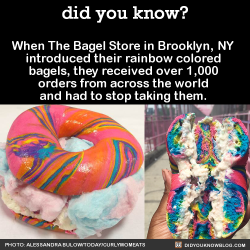 did-you-kno:  When The Bagel Store in Brooklyn,