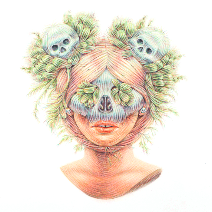 myampgoesto11:  More Illustrations by Artist on Tumblr Winnie Truong | Website