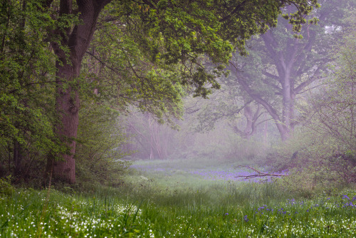 90377: Distill by Lee Acaster