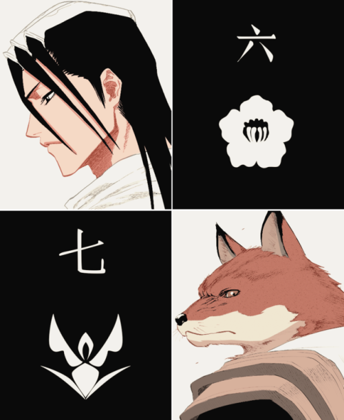 rukiadriedhisrain:Bleach↴ Soul Reapers