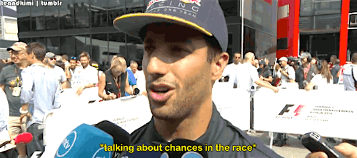 teandkimi:Daniel is afraid of wasps - Italian GP ‘16 Qualifying