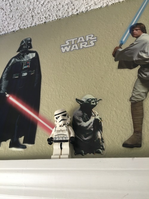 The youngling is a talented interior decorator.  |-o-|