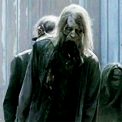 your #1 walking dead source