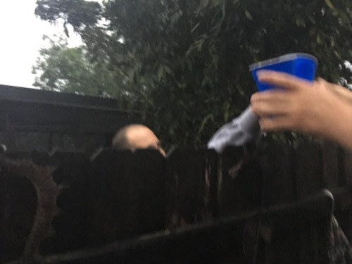 durbikins: Our neighbor made margaritas and passed them over the fence during the storm. This is Flo