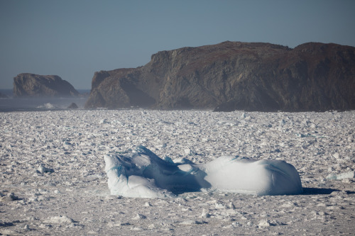 The beauty of Newfoundland and Labrador - may 2019