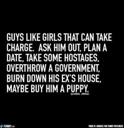 or a pitbull puppy