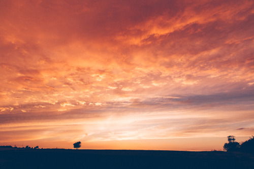 stereocolours:   Adam Marshall - Mercy Society6 | Facebook | Twitter | Flickr | Behance