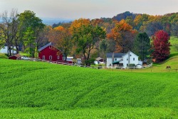 oldfarmhouse:https://www.instagram.com/vintagefarms/