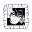 reybeam