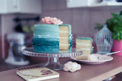 delectabledelight:  Cake (by madarasiz) 