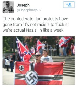 nuppababii:  Exactly.   to me i find it funny that these proto - KKK dickheads genuinely believe that the Nazi Party would have supported a southern flag. Like what? 