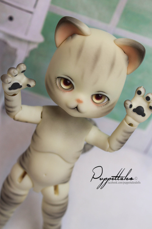 Chu (Zuzu Delf) - LutsBy Kyohei Niimura / Puppet Tales We accept commissions by facebook.Please don’