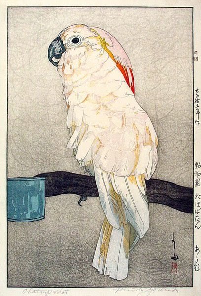 my-wunderkammer:  © Hiroshi Yoshida © http://visionfield.blogspot.it/2010/10/hiroshi-yoshida.html 