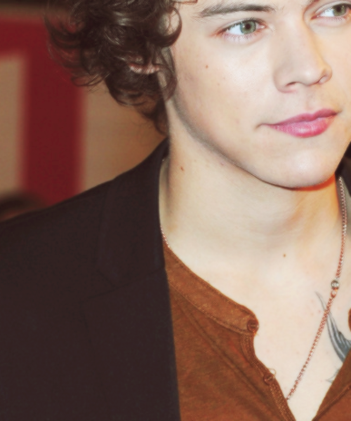 hipsta harry