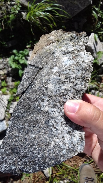 geologyedinburgh:White-Nepheline Syenite quarry in Harghita, Romania. It was abandoned in the 90s.