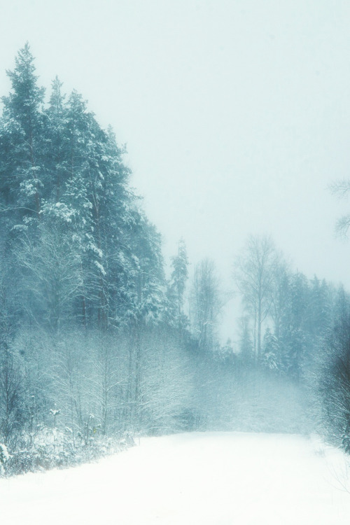 wnderlst:  Winter | Anton Nikitin