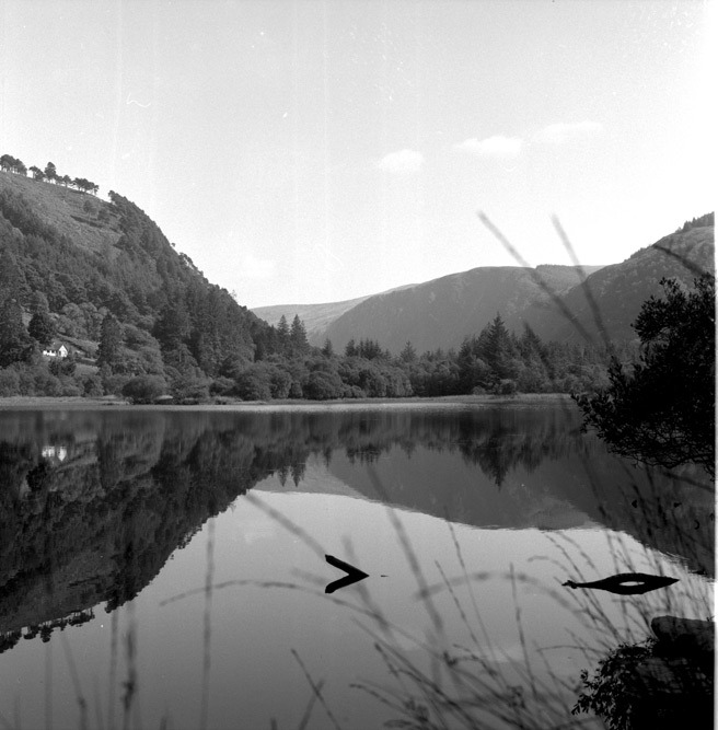 serenity
Glendalough, Upper Lake
medium format