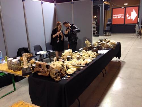 This week end we’re selling skulls on the Marche en Famene tattoo convention.