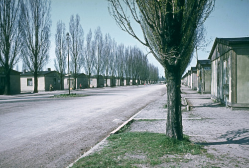 christoph-liebe:  Ghosts in the Sun: Hitler’s Personal Photographer at Dachau, 1950