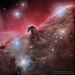 The Magnificent Horsehead Nebula #nasa #apod