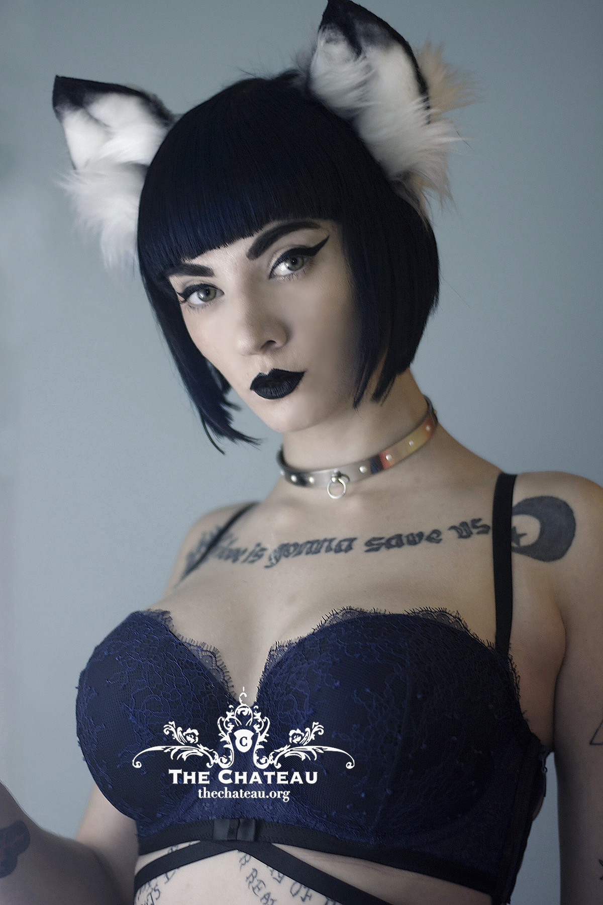 catgirlmanor:  Eira Maden, our newest precious level kitten &lt;3