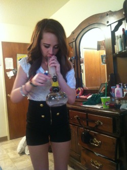 pizza-weed-cats:  high