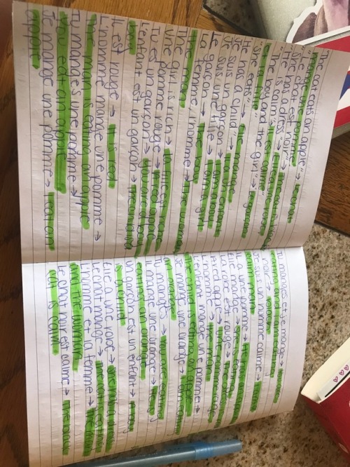 taylors-langblr: I’m currently on hour 11 of the 34-hour challenge with French, and I’ve