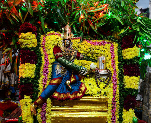 Parvati worships Her husband Shiva as a Lingam