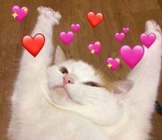 AAAAAAAAA-CTm- Me Mueroo Esta Bien Hermosa Muchsimas Gracias U,wu