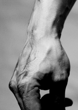 amatesura: Michelangelo’s David / Mads Mikkelsen  