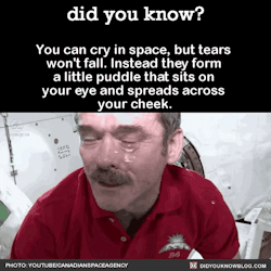 did-you-kno:  You can cry in space, but tears