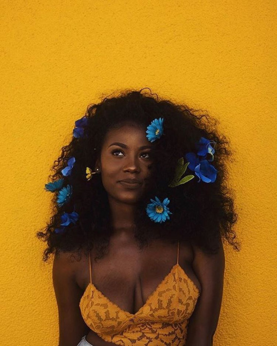Ebony - Beauties
